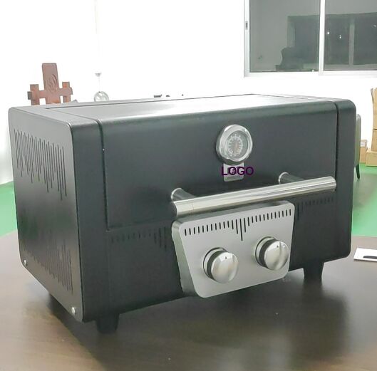 2 Burner Gas Grill BBQ With Removable Trolley