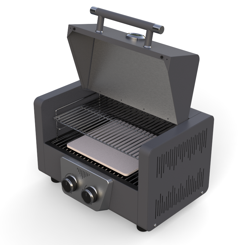 2 Burner Gas Grill BBQ With Removable Trolley