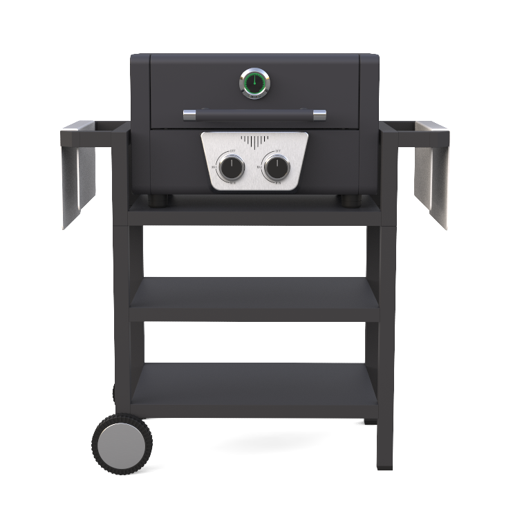 2 Burner Gas Grill BBQ With Removable Trolley